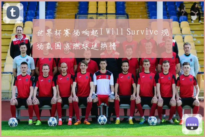 世界杯赛场响起I Will Survive 现场氛围点燃球迷热情
