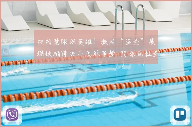 纽约慧眼识英雄!激活“盗圣”展现铁桶阵决斗总冠军梦_阿尔瓦拉多_纽约尼克斯_防守