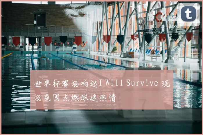 世界杯赛场响起I Will Survive 现场氛围点燃球迷热情